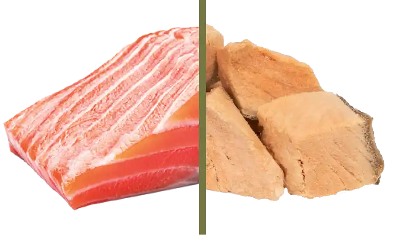 Superfood Bites - Salmon Ingredients