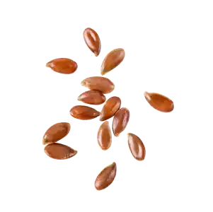 Ingredient Photo-Flax Seed