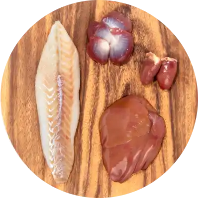 Premium Wild Fish & Turkey
