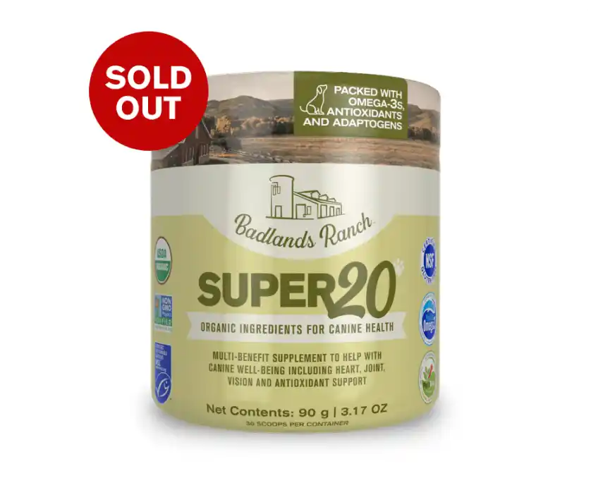 Super20 - Sold Out