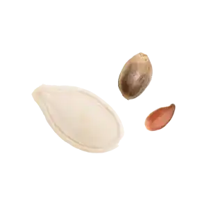 Ingredient Photo-Omega 3 Complex
