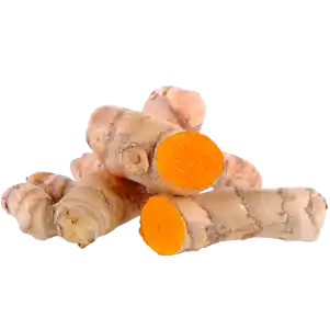 Ingredient Photo-Turmeric Root