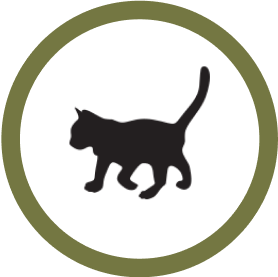 cat icon