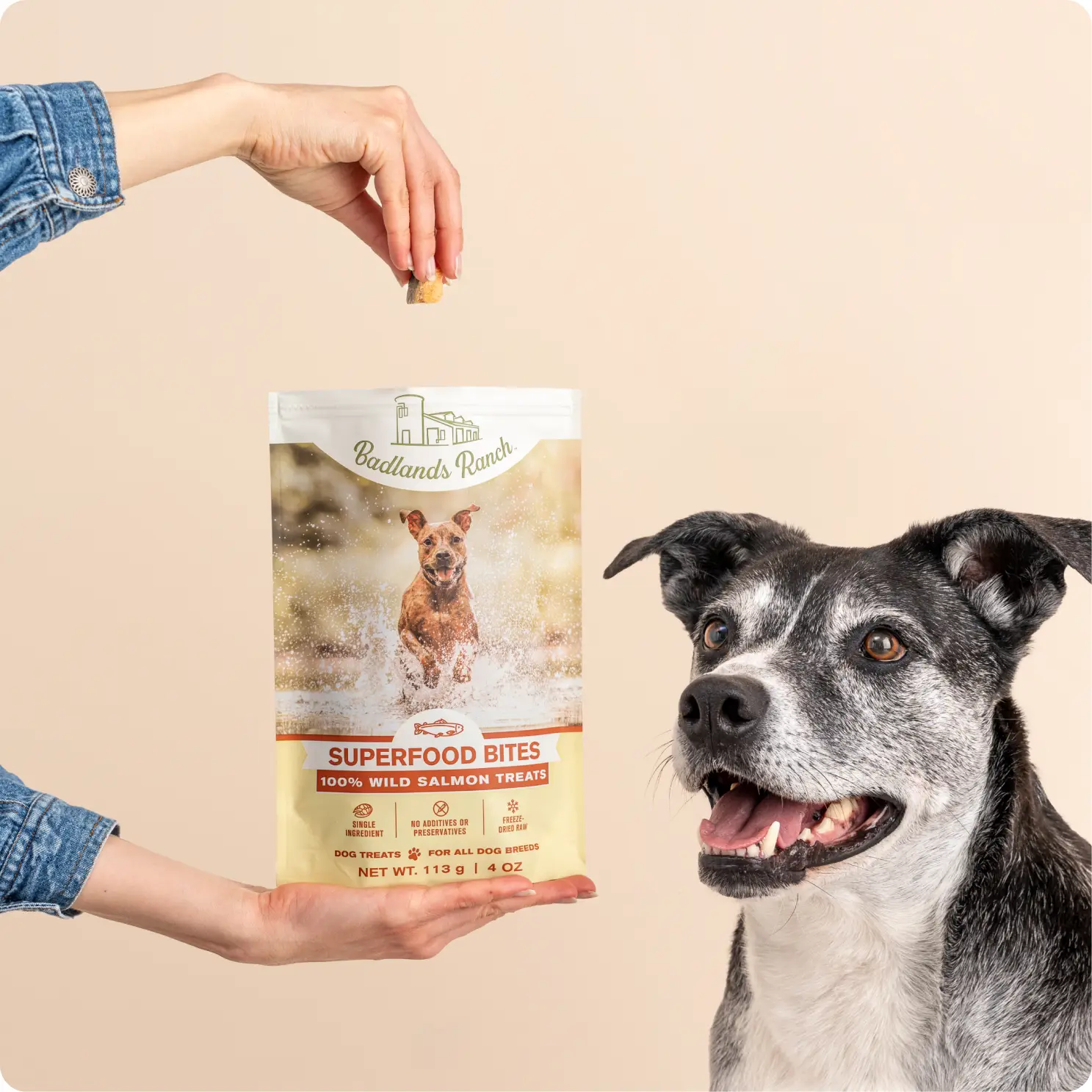 Superfood Bites - Salmon - Canada - Badlands Ranch