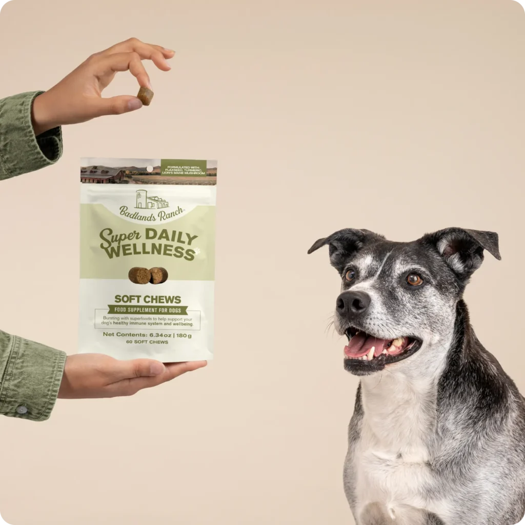 Super Daily Wellness Soft Chews direction for use