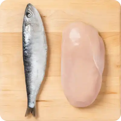 Nourishing Chicken & Sardines