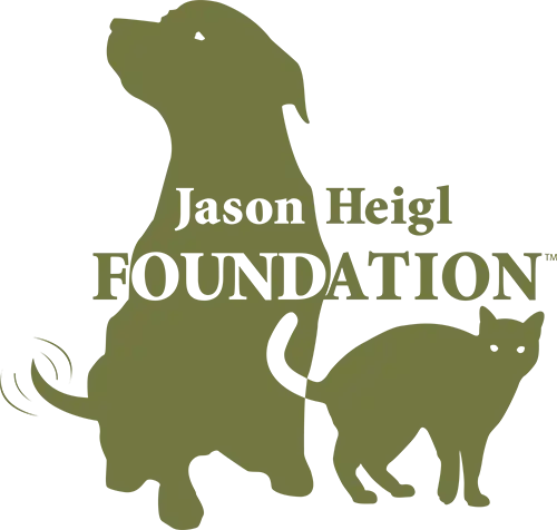 Jason Heigl Foundation Logo