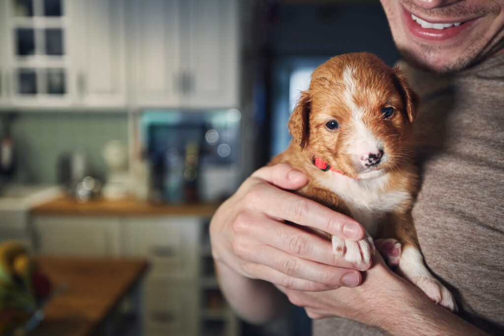 Man holding cute puppy in arms in kitchen.